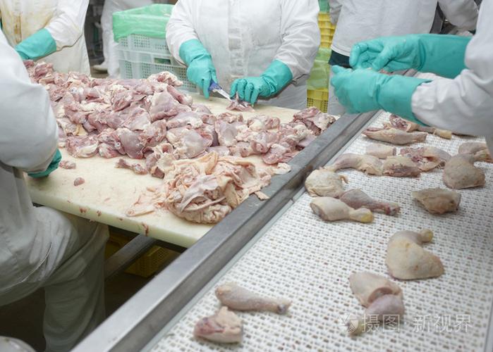 家禽加工肉类食品工业