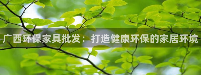 杏耀总代