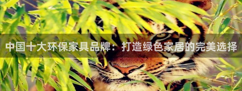 杏耀平台登陆测速