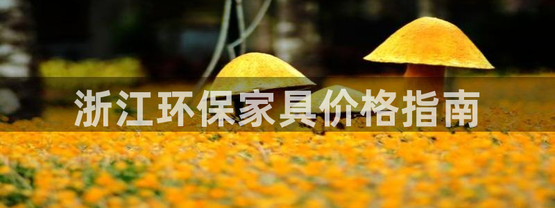 杏耀总代