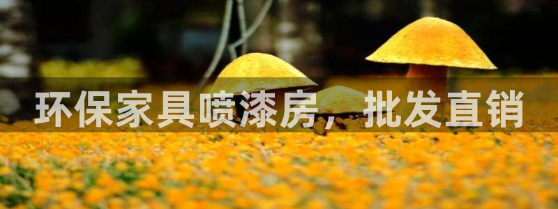 杏耀平台到底能玩吗