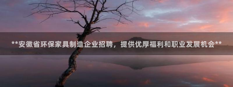 杏耀代理日工资多少