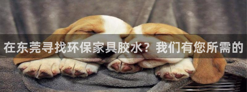 杏耀平台服务中心怎么样