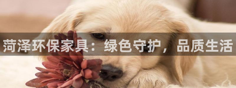 杏耀3代理
