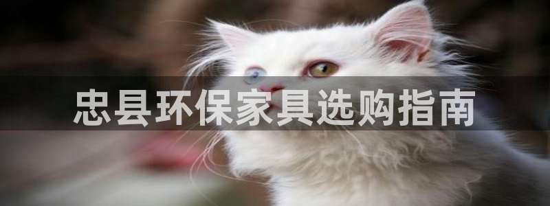 杏耀官网主管