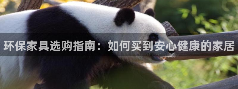 杏耀总代理