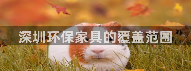 杏耀主管qq