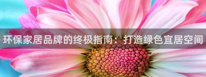 杏耀代理主管qq