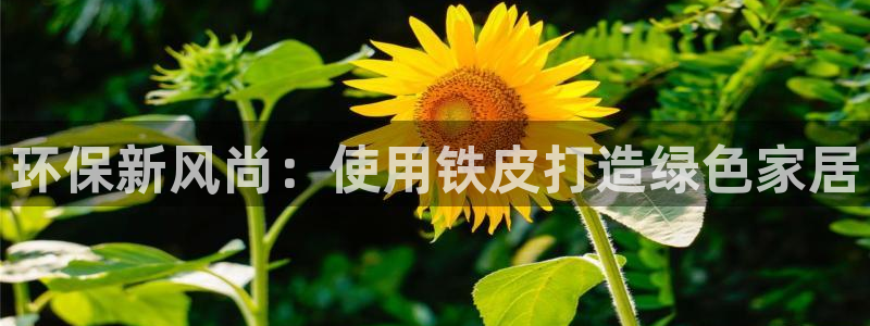 杏耀平台官网