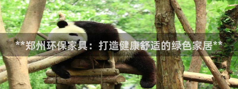 杏耀代理官网