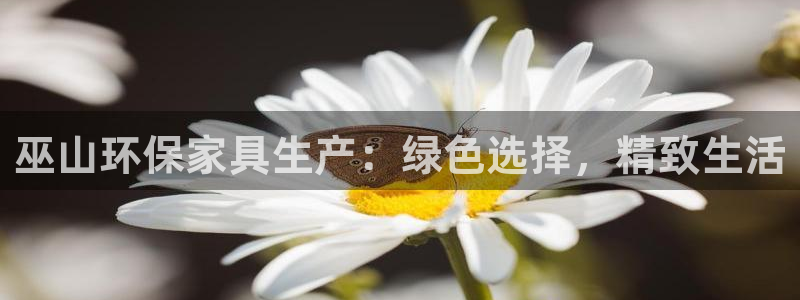 杏耀平台怎样