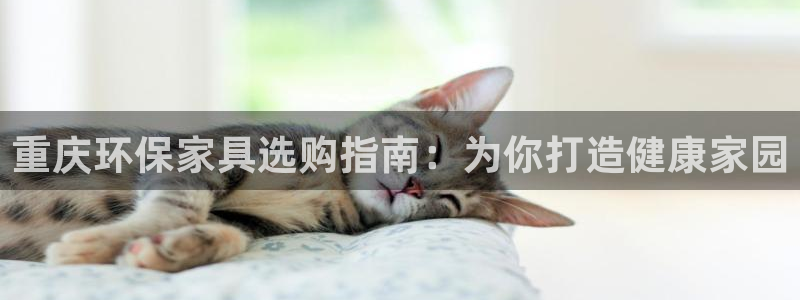 杏耀平台分红