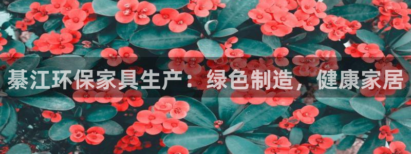 杏耀平台的专用通道