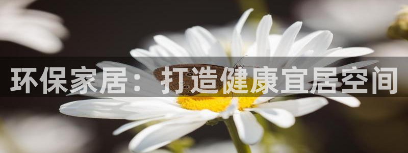 杏耀平台娱乐登陆