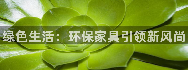 杏耀平台已7O777：绿色生活：环保家具引领新风尚