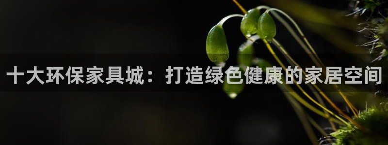 杏耀登入测速