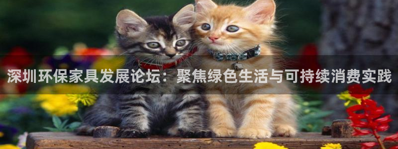 杏耀注册中心：深圳环保家具发展论坛：聚焦绿色生活与可持续消费