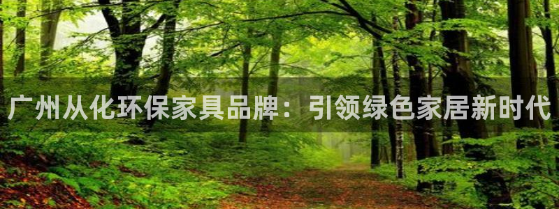 杏耀平台专用通道：广州从化环保家具品牌：引领绿色家居新时代