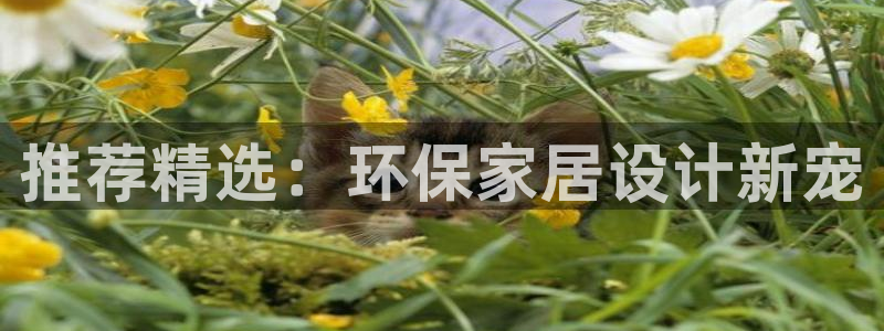 杏耀平台到底能玩吗：推荐精选：环保家居设计新宠