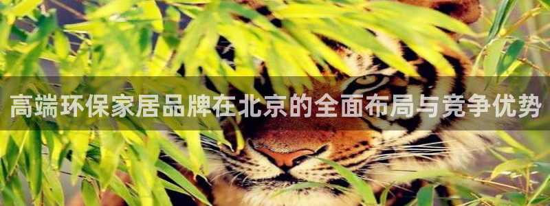 杏耀平台代理怎么赚钱