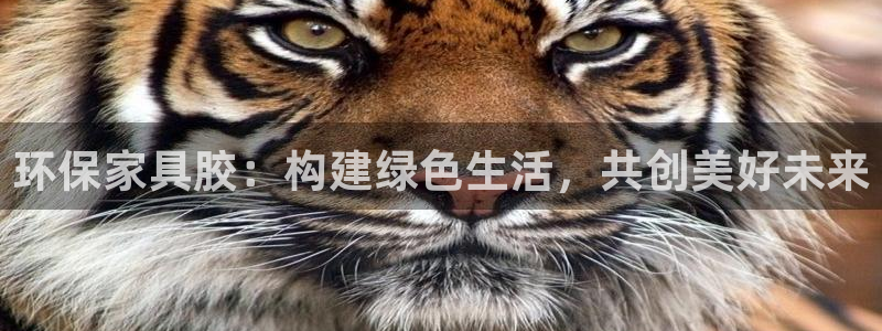 杏耀平台网页版