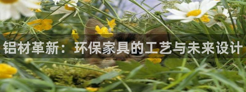 杏耀平台登录：铝材革新：环保家具的工艺与未来设计