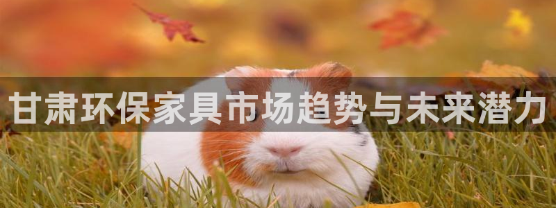 杏耀平台代理怎么赚钱快