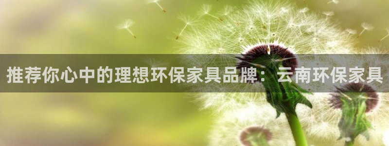 杏耀平台在哪里：推荐你心中的理想环保家具品牌：云南环保家具