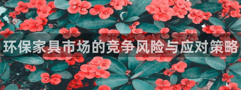 杏耀平台待遇：环保家具市场的竞争风险与应对策略