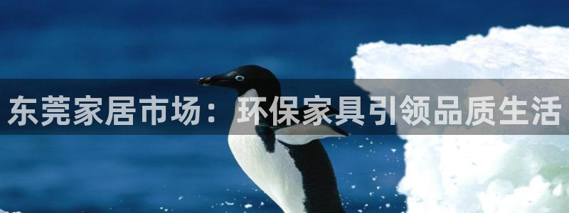 杏耀总代理：东莞家居市场：环保家具引领品质生活