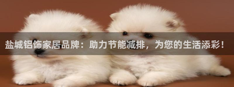 杏耀平台官网：盐城铝饰家居品牌：助力节能减排，为您的生活添彩