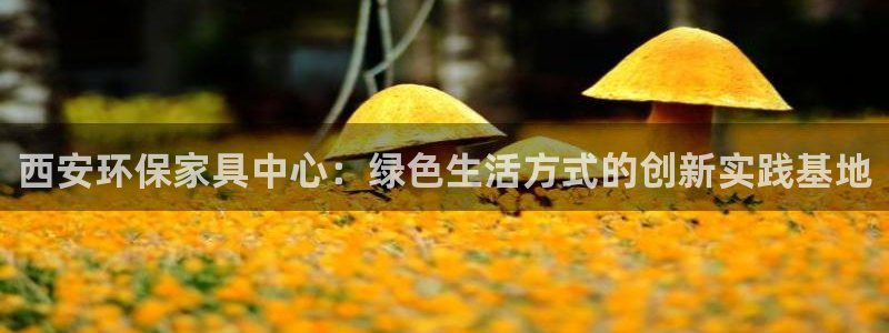 杏耀测速注册：西安环保家具中心：绿色生活方式的创新实践基地