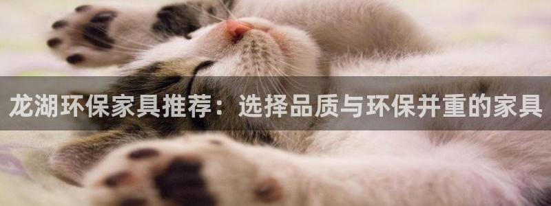 杏耀平台靠谱吗：龙湖环保家具推荐：选择品质与环保并重的家具